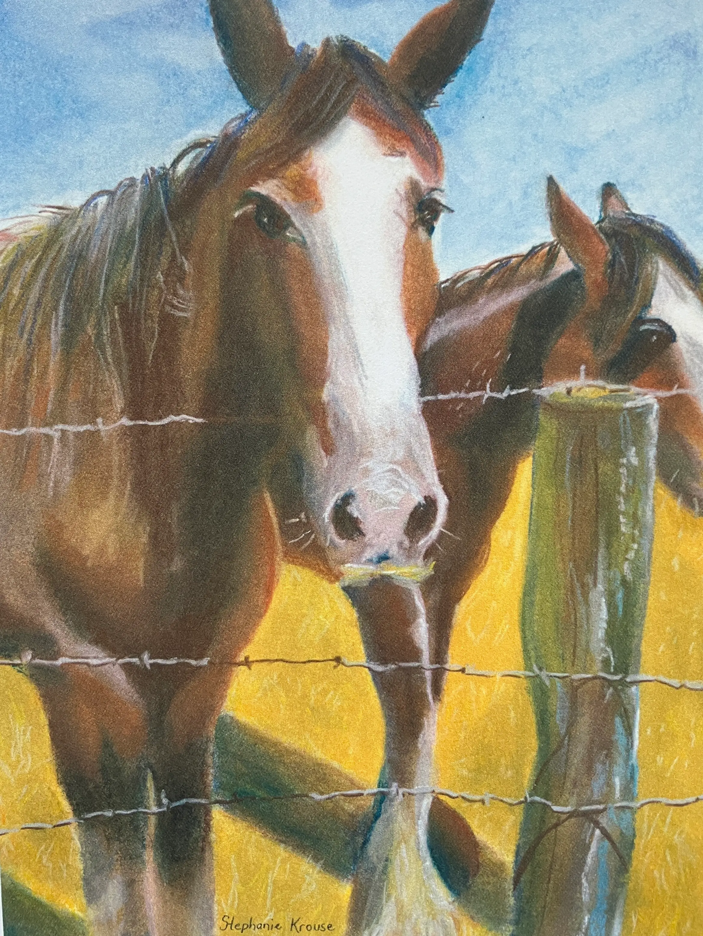 Washburn Mustache Horse