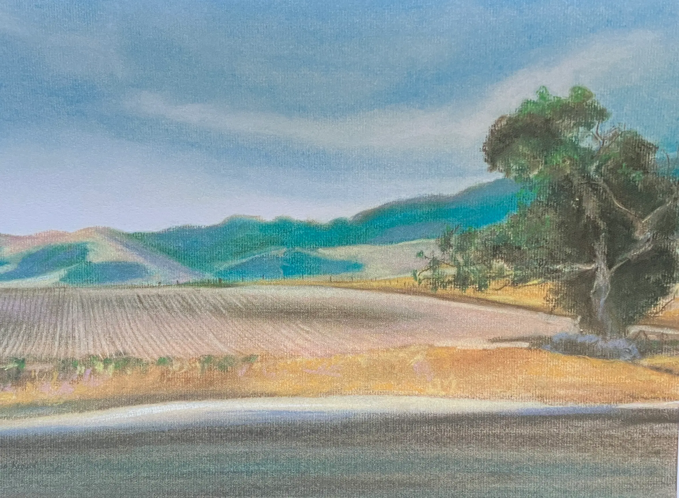 Open Fields South of Brown Road