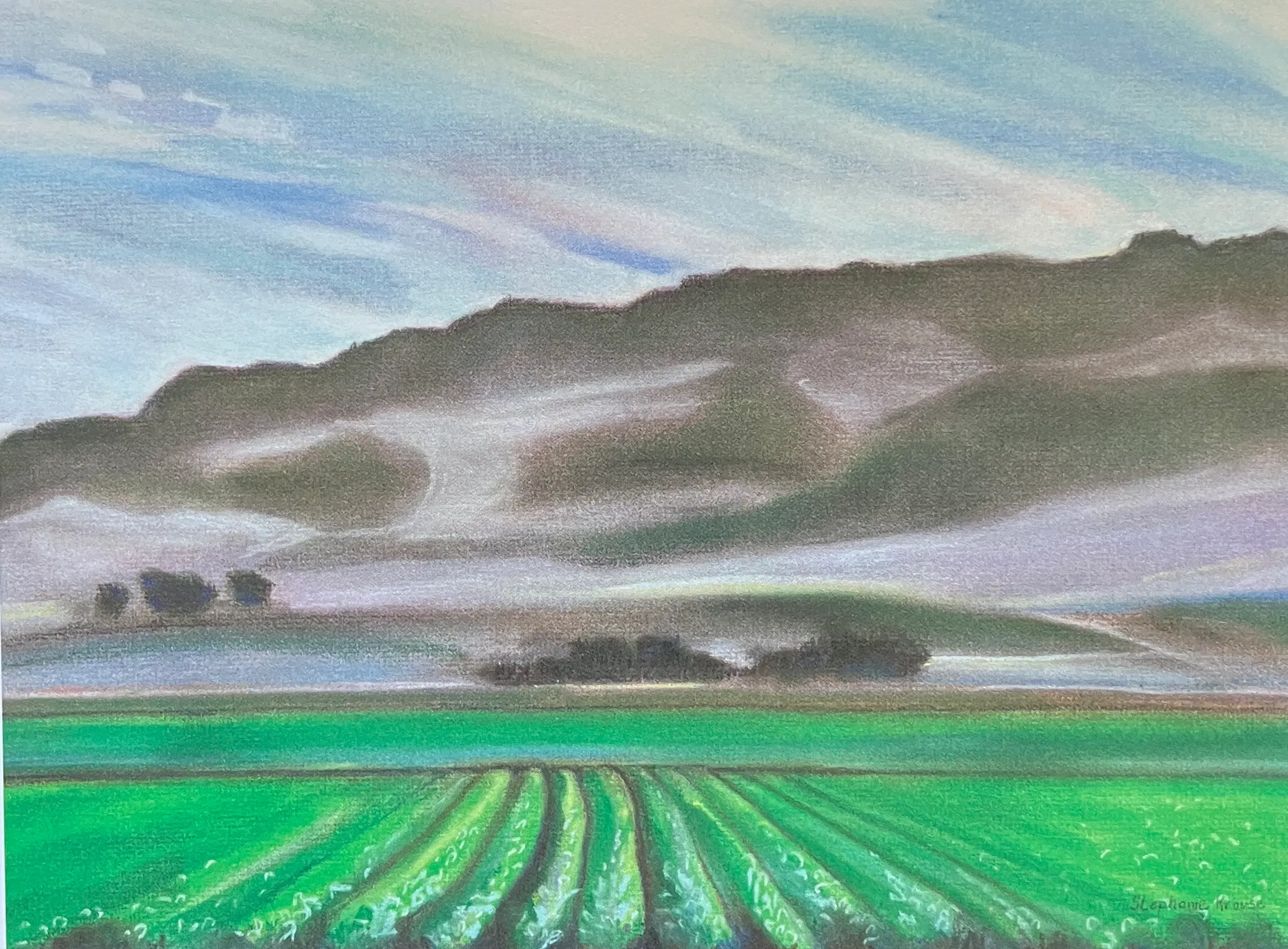 Looking South from Ferini Ranch